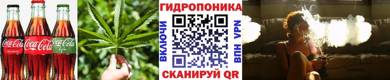 купить наркоту  Барабинск  Печенье с ТГК марихуана 