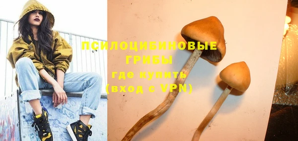 кокаин Белокуриха
